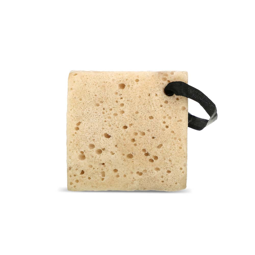 HYDRO WASH Extra Hydrating Hyaluronic Acid & Cacao Gel-Infused Sponge