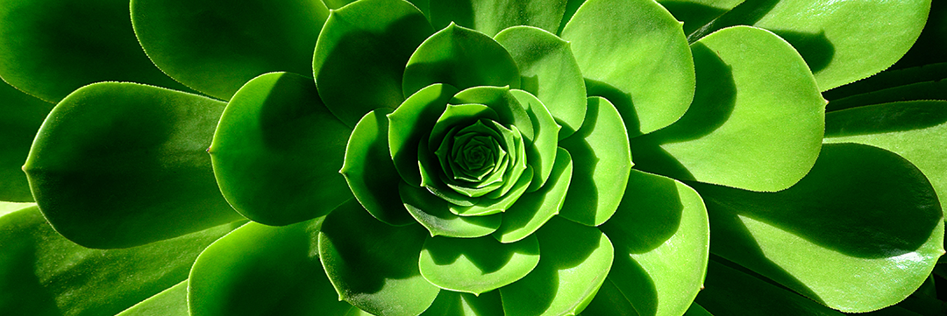 Being More Eco-Friendly | Biovène